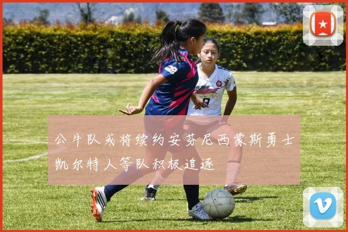 公牛队或将续约安芬尼西蒙斯勇士凯尔特人等队积极追逐